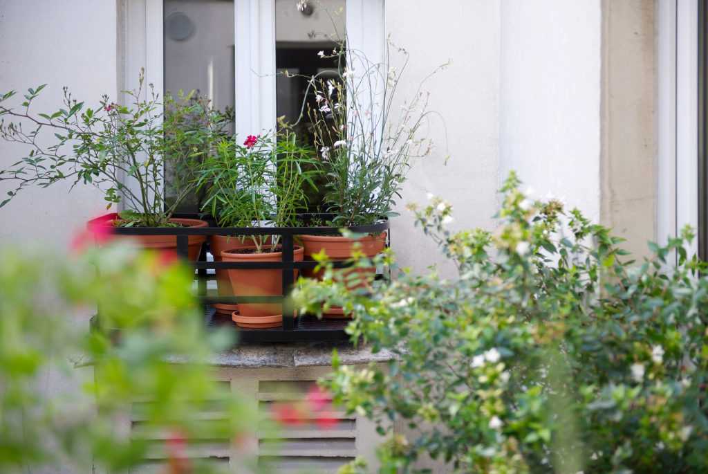 Jardinière Fenêtre Paris. Le Vert à Soi