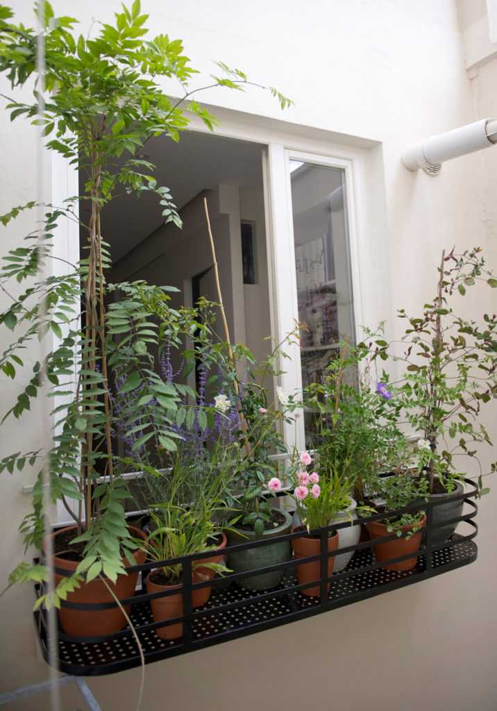Jardinière Fenêtre Paris. Le Vert à Soi