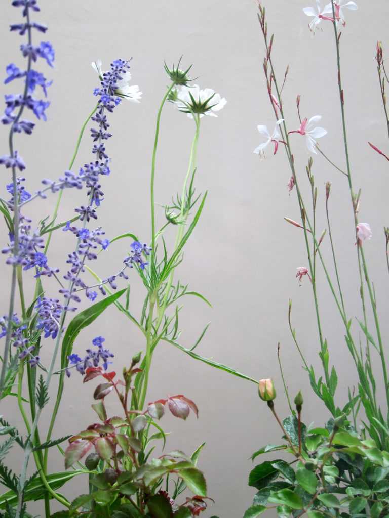 Jardinière Fenêtre Paris. Le Vert à Soi