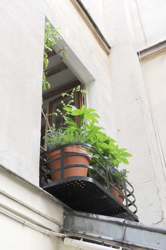 jardinière fenêtre Paris. Le Vert à Soi