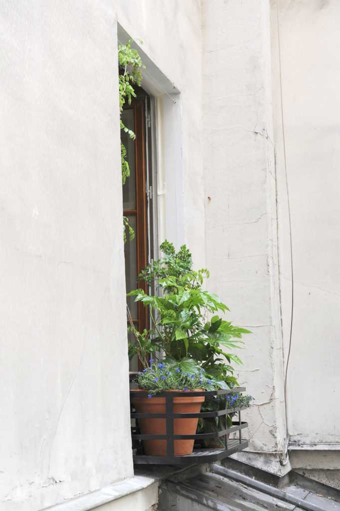 jardinière fenêtre Paris. Le Vert à Soi