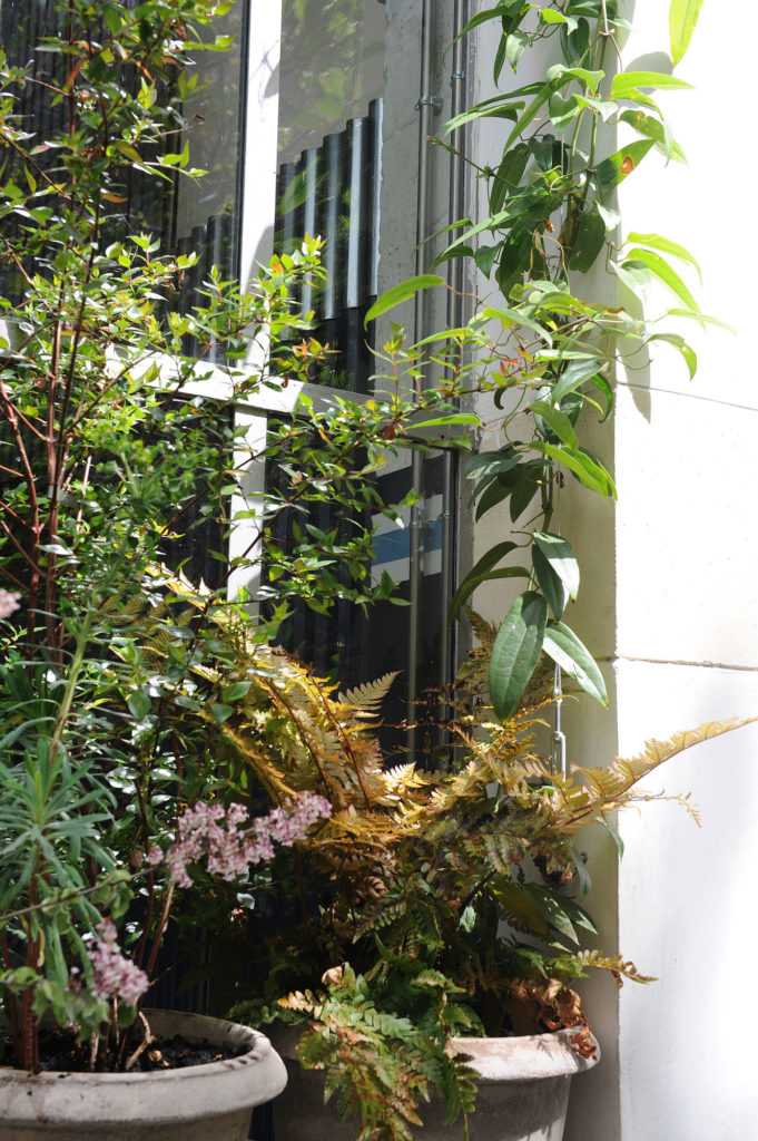 Grand Central. Centre culturel 104. Décoration végétale Le Vert à Soi