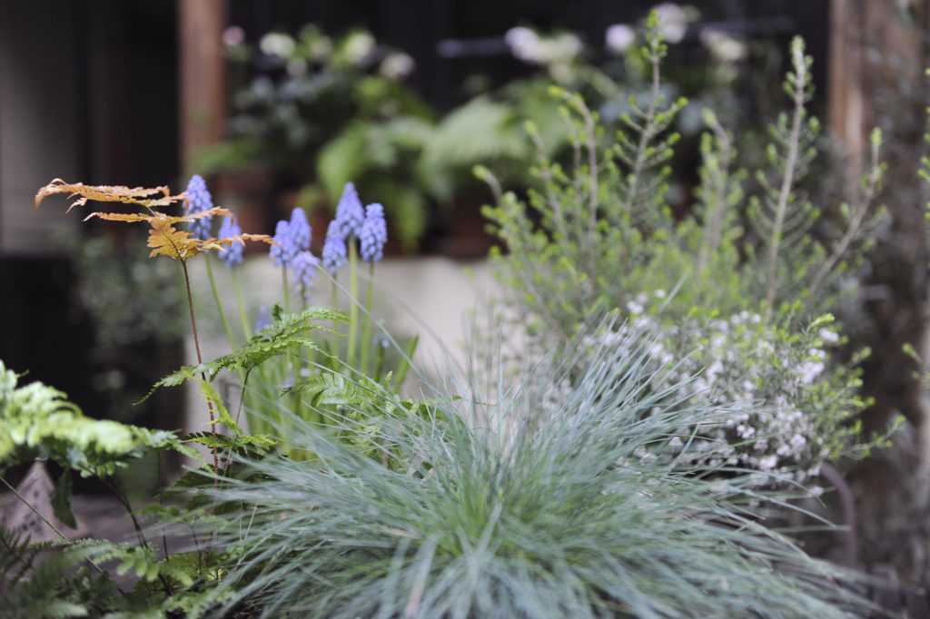 Potées de saisons. Décoration végétale Le Vert à Soi