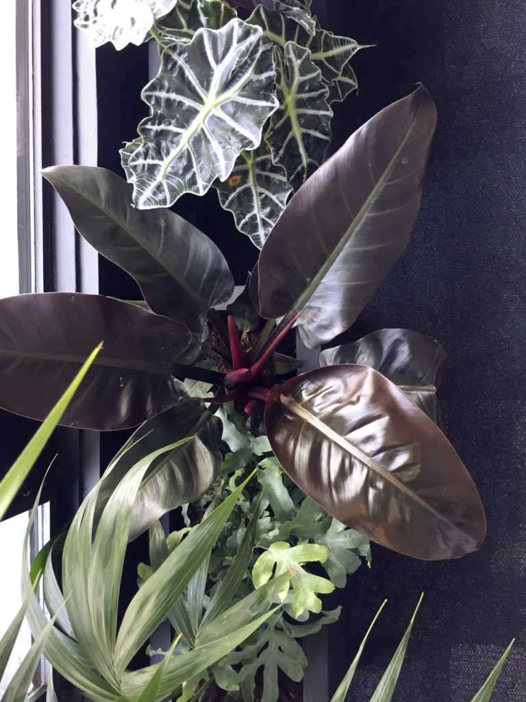 Diptyque. Décoration végétale Le Vert à Soi